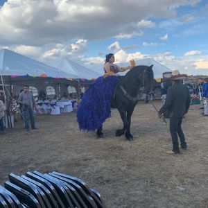 Meet your Posher, Daisy